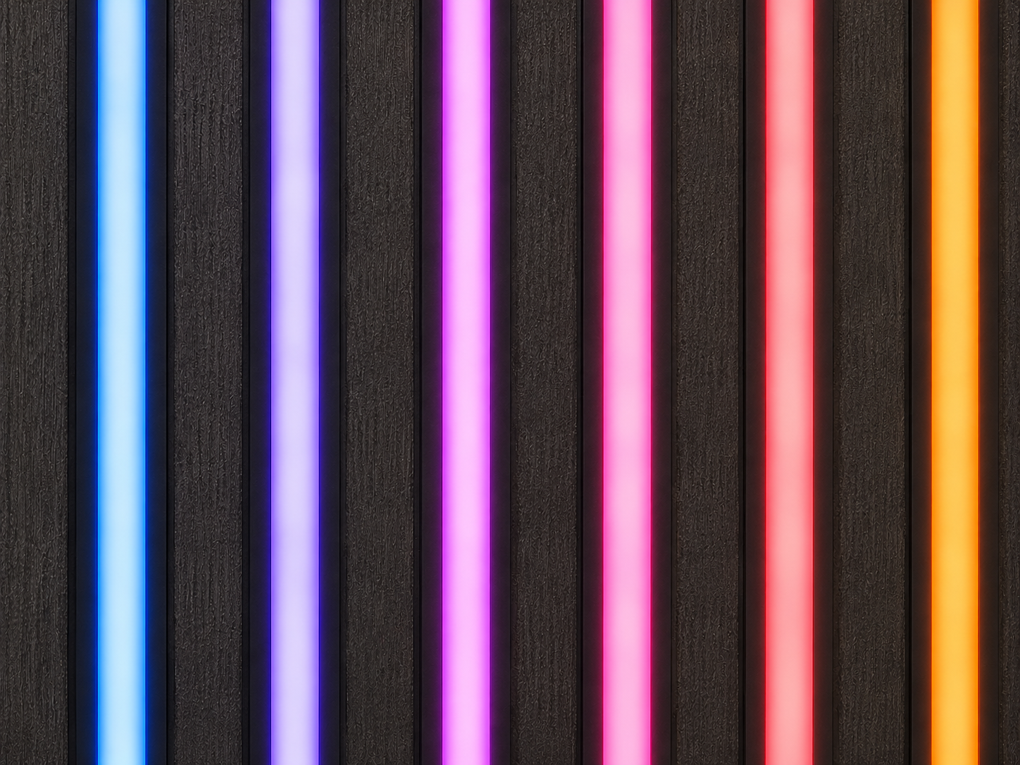 LED 01